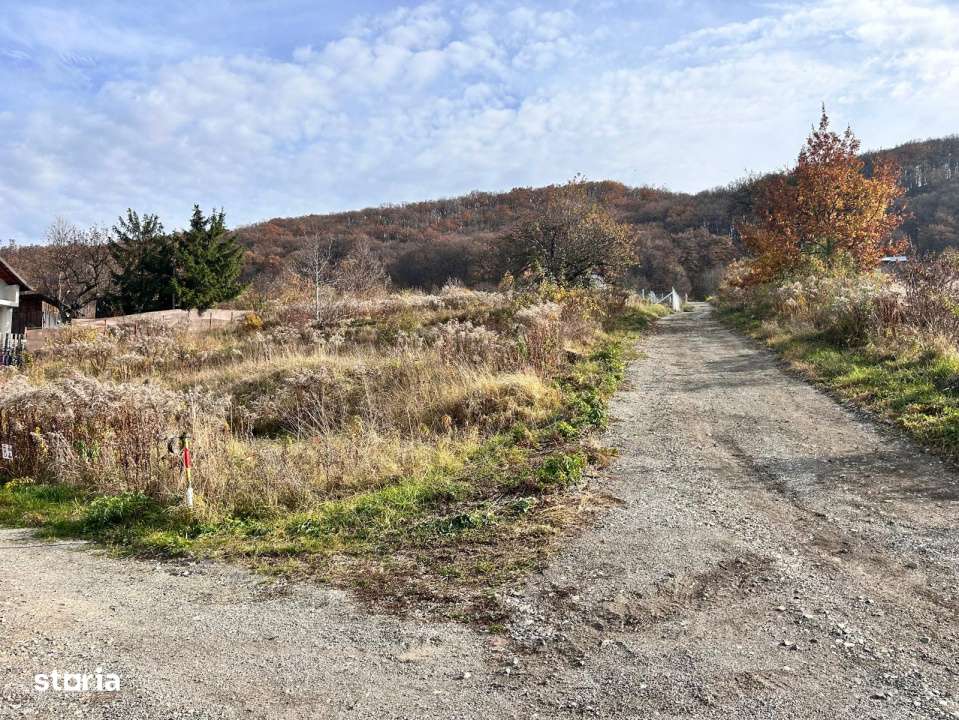 Teren extravilan-Valea Ghinzi-500mp- 2500 euro ar-2