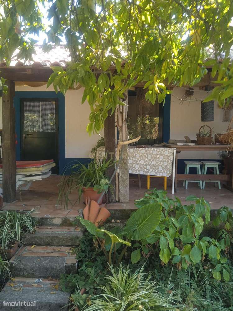 Quintinha - São Tomé de Covelas, Baião-9