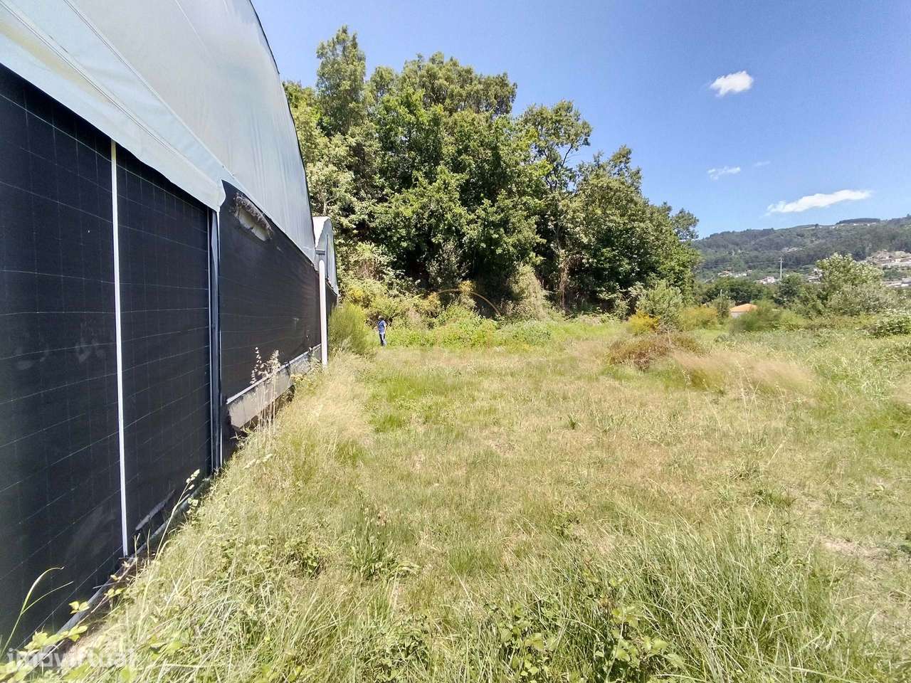 Terreno Urbano com Estufas - Grande imagem: 5/30