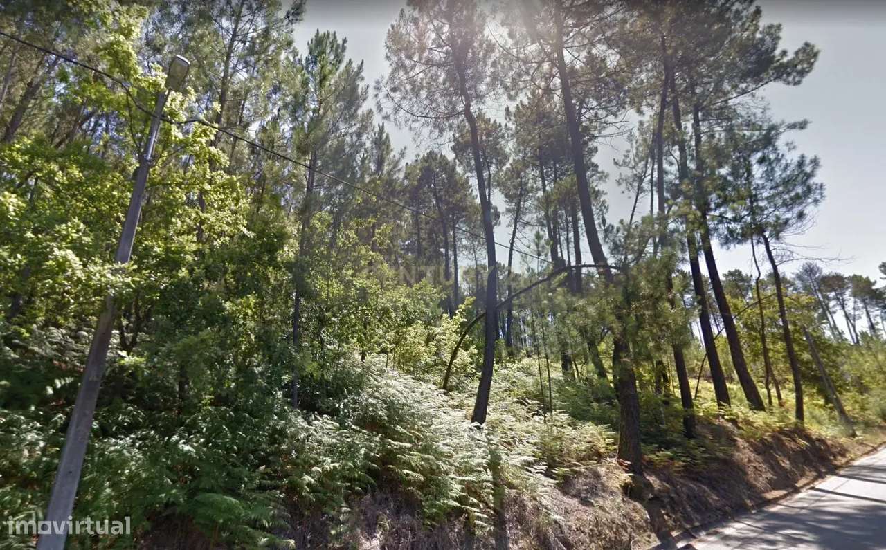 Terreno em Orgens - Grande imagem: 4/5