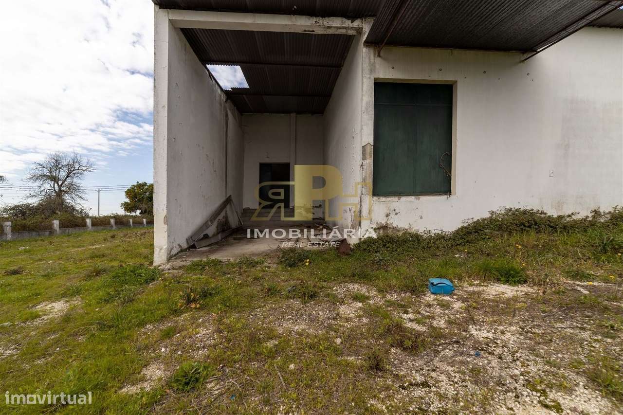 Armazém T6 Venda em Alcanhões,Santarém-8