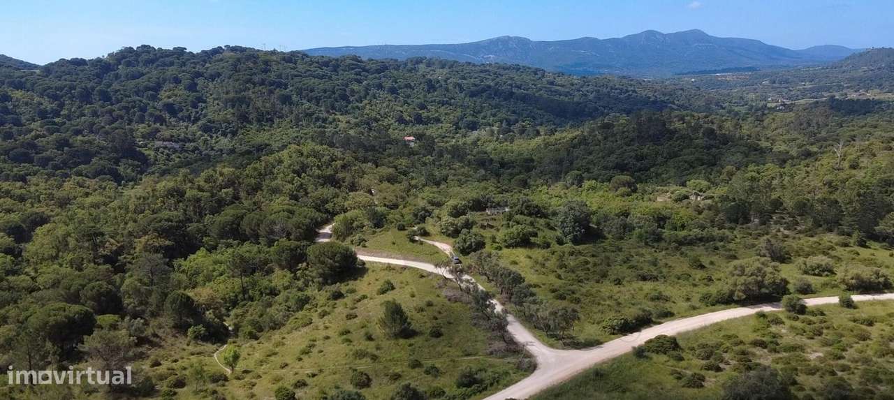 Investimento em Turismo Rural – 12 ha com Potencial de Construção na - Grande imagem: 5/34