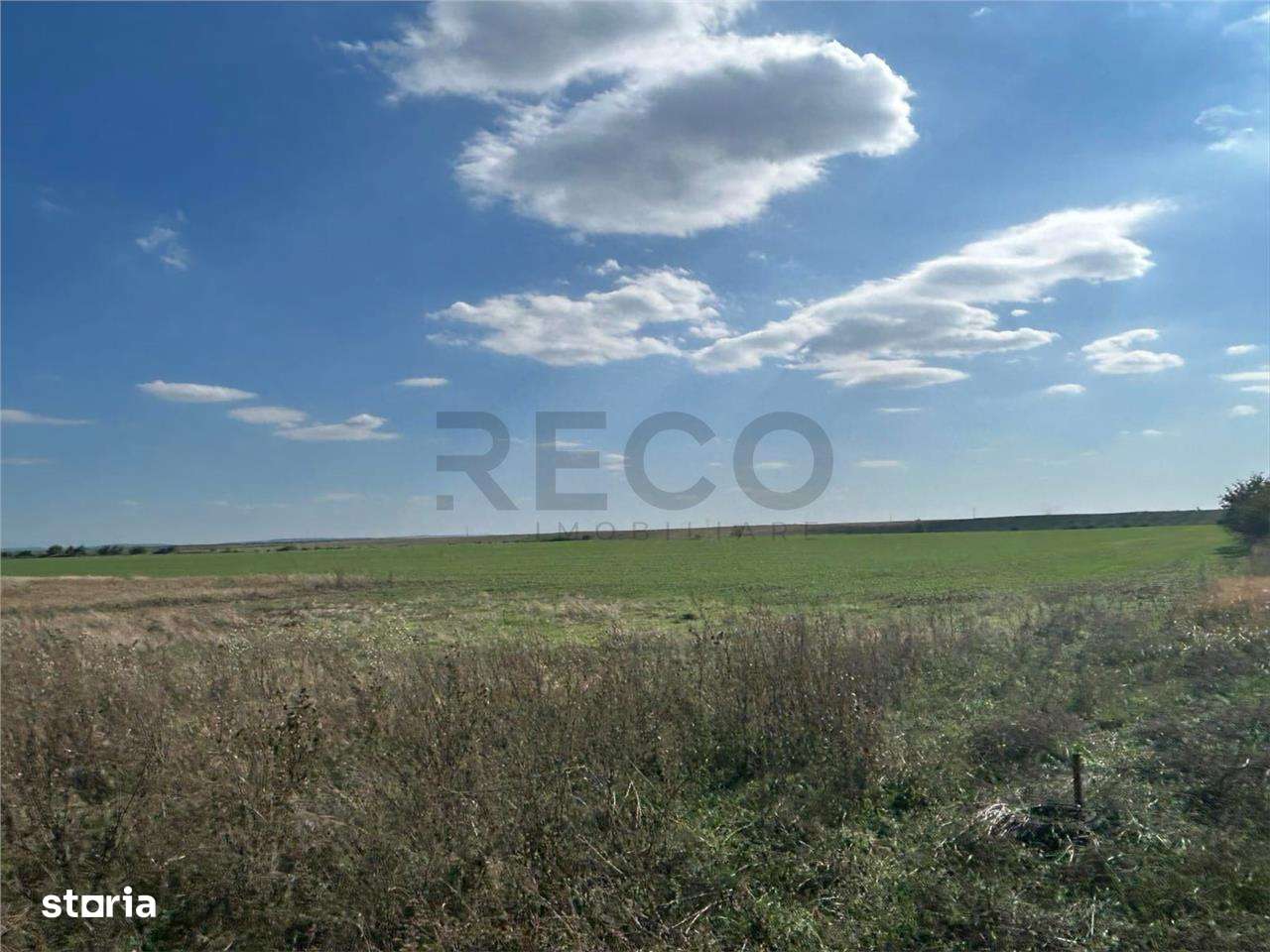 RECO Oportunitate teren 25000mp Santandrei - Imagine principală: 3/3