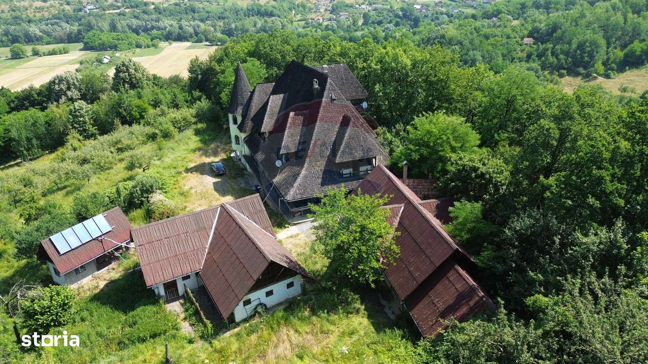 CASTEL DE VANZARE IN MARAMURES-9