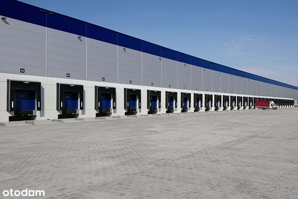 Magazyn wysokiego składowania, blisko wjazdu na A1 - Pełny obrazek: 4/4