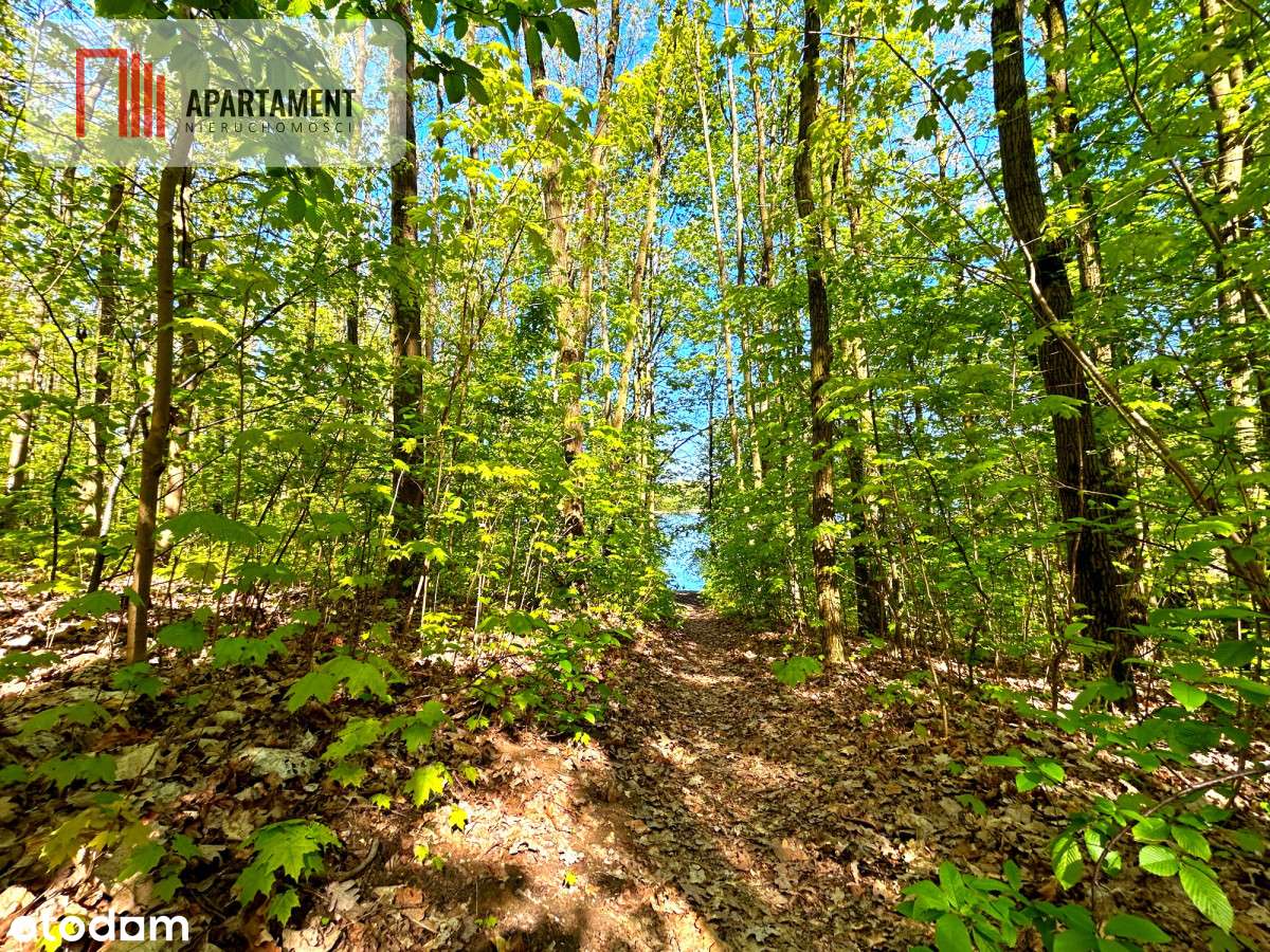 Działki przy jeziorze! Wierzchucinek - Pełny obrazek: 2/6