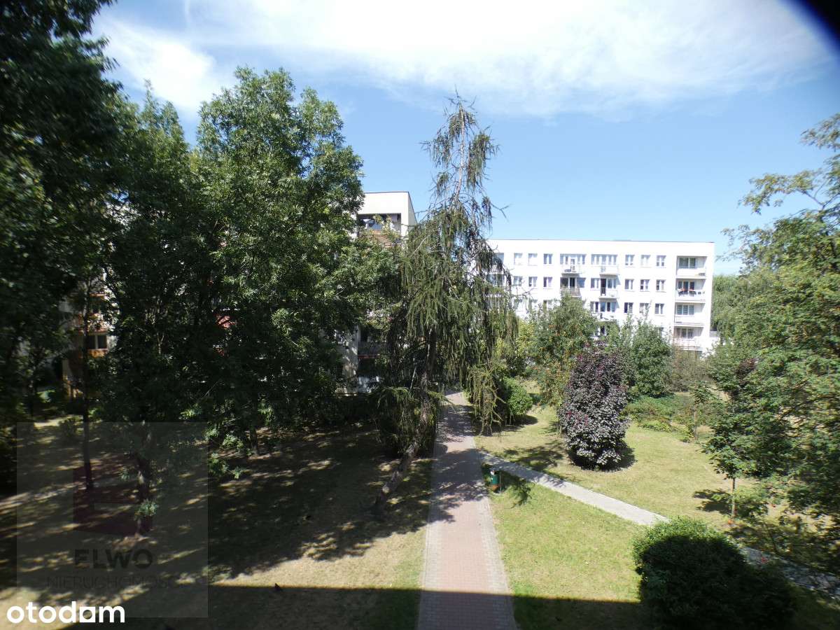 Ładne 3 pokoje z loggią jak w parku.-19