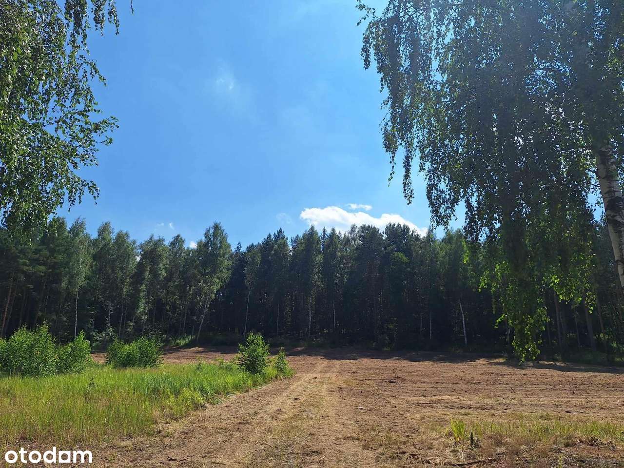 Działki na sprzedaż Ruda , gmina Grudziądz - Pełny obrazek: 4/5