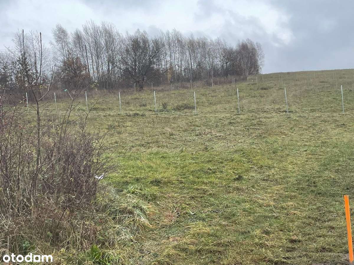 Działka z widokiem Kudowa Zdrój5km, Lewin Kłodzki, - Pełny obrazek: 5/8