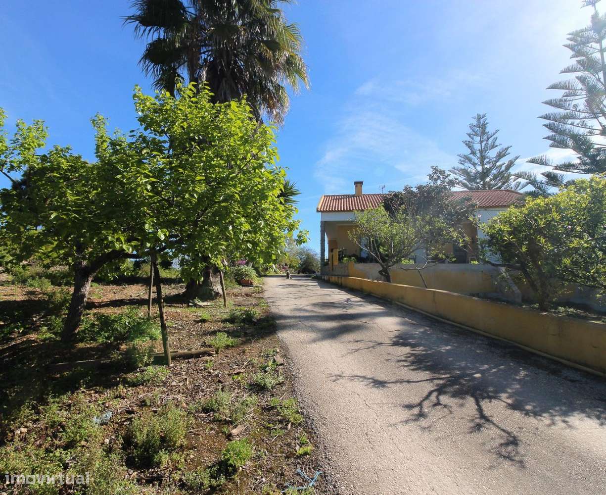 Moradia T3+1 com 4.960 m2 de terreno - Grande imagem: 2/20