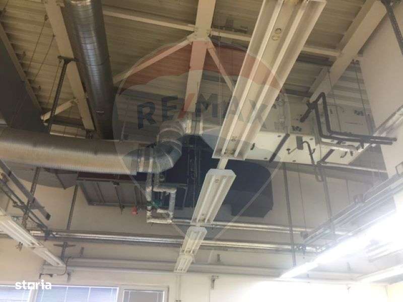 Hala de Inchiriat | Calea Baciului | Cluj-Napoca - Imagine principală: 4/5