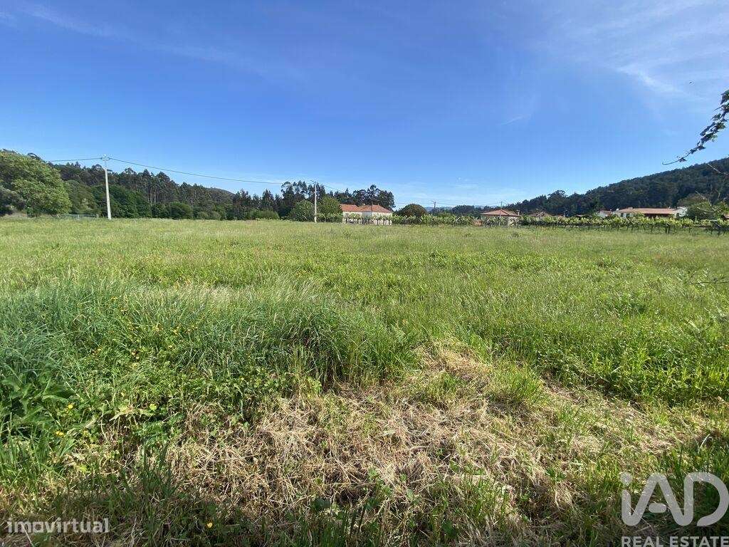 Casa / Villa T1 em Candemil e Gondar de 250,00 m2 - Grande imagem: 4/23