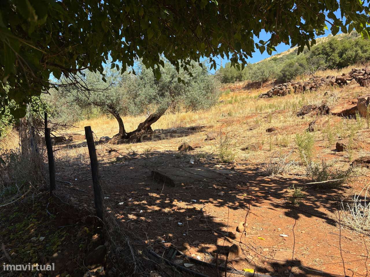 Quintinha com Moradia T2 + Armazém | 2ha vedados | Rio | Fruteiras | A-38