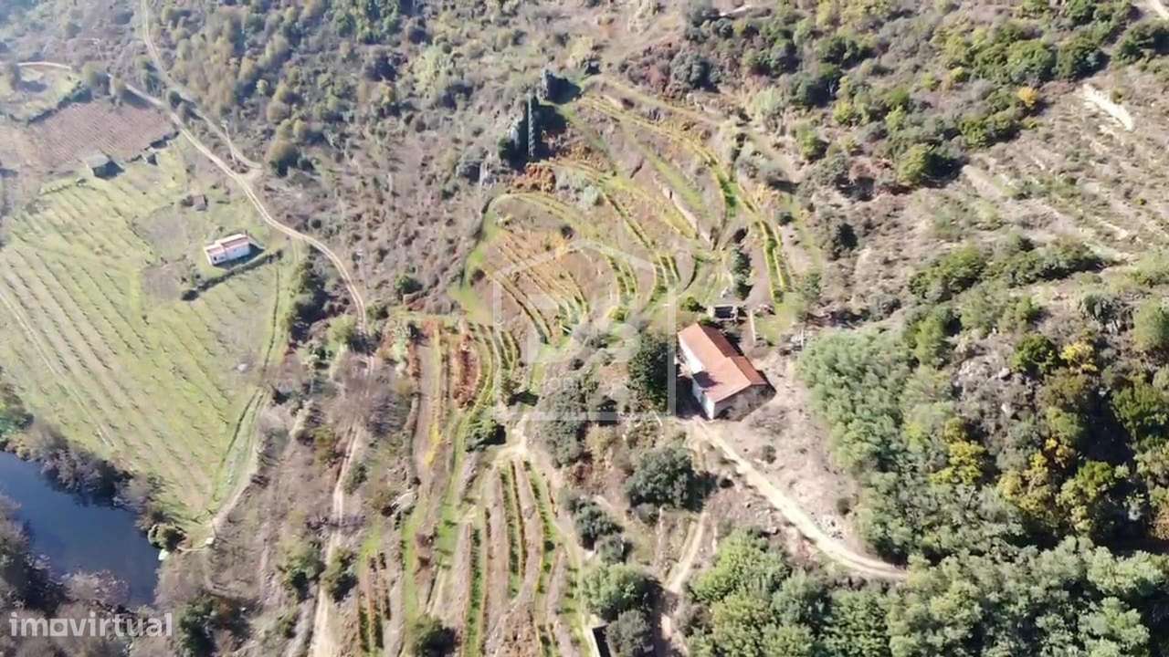Quinta  Venda em Várzea de Abrunhais,Lamego-19