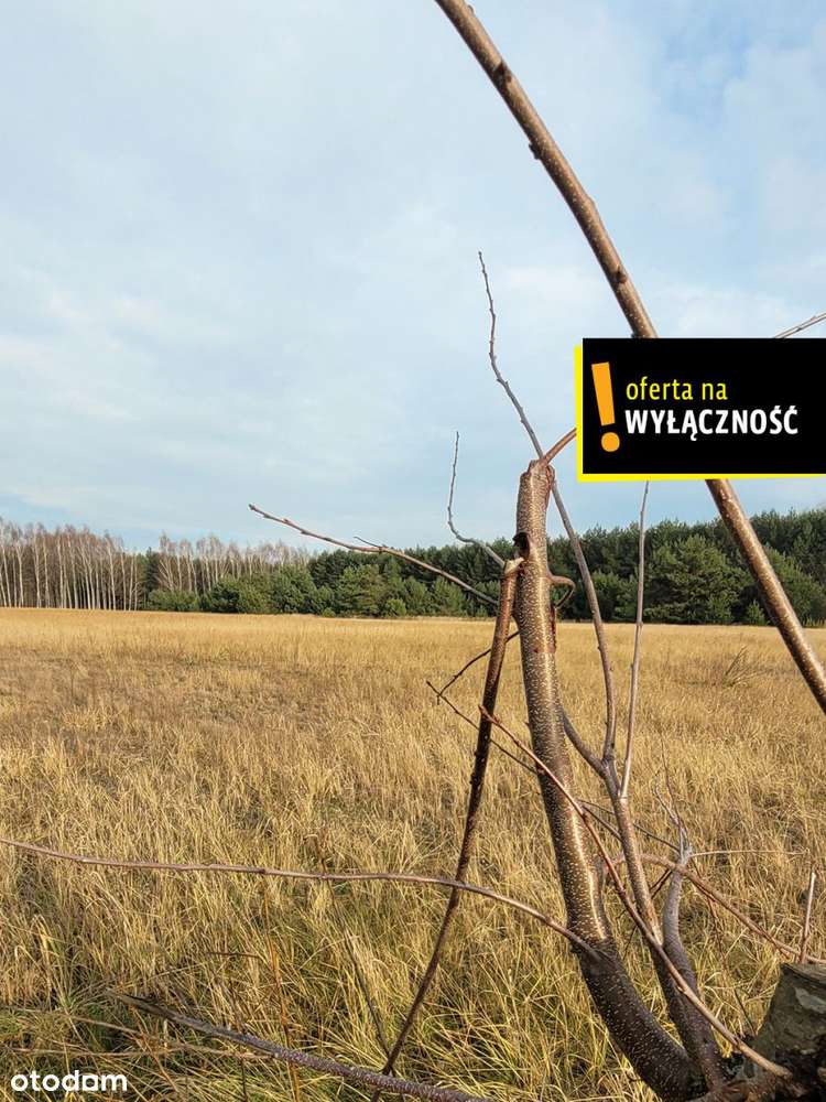 Działka blisko lasu.-18