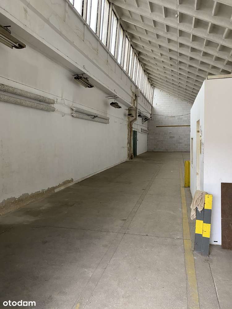 Teren przemysłowy budynki 20901m2 działka 44802m2 Teofilów - Pełny obrazek: 5/5