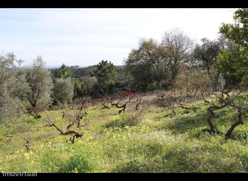 Terreno com possibilidade de construção - Grande imagem: 2/11