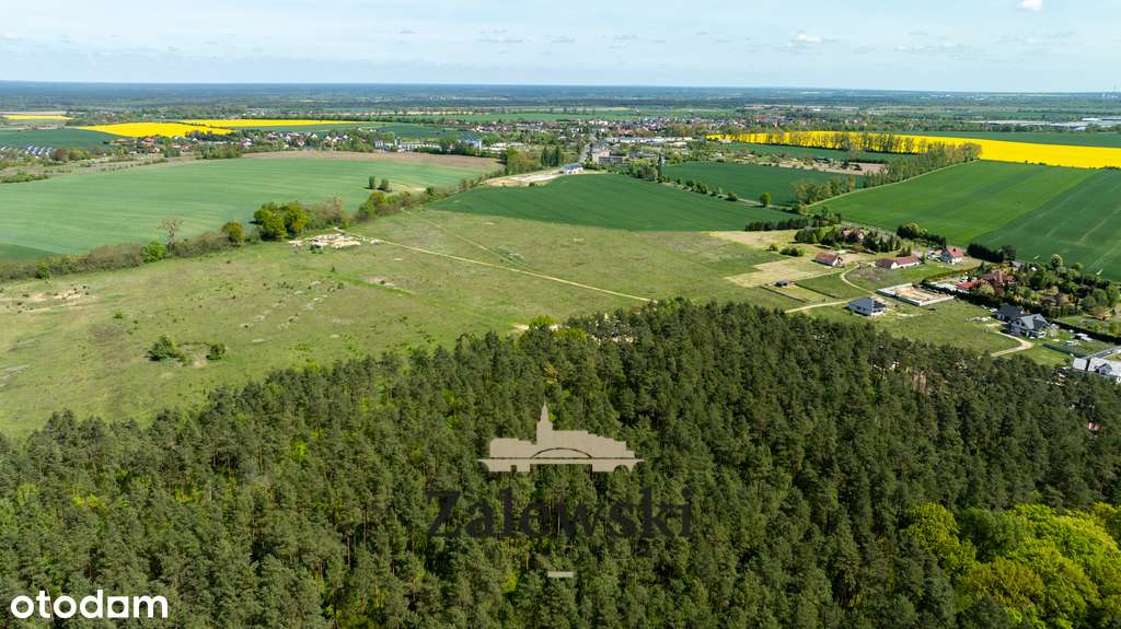 Działki na sprzedaż – Baczyna, przy lesie-6