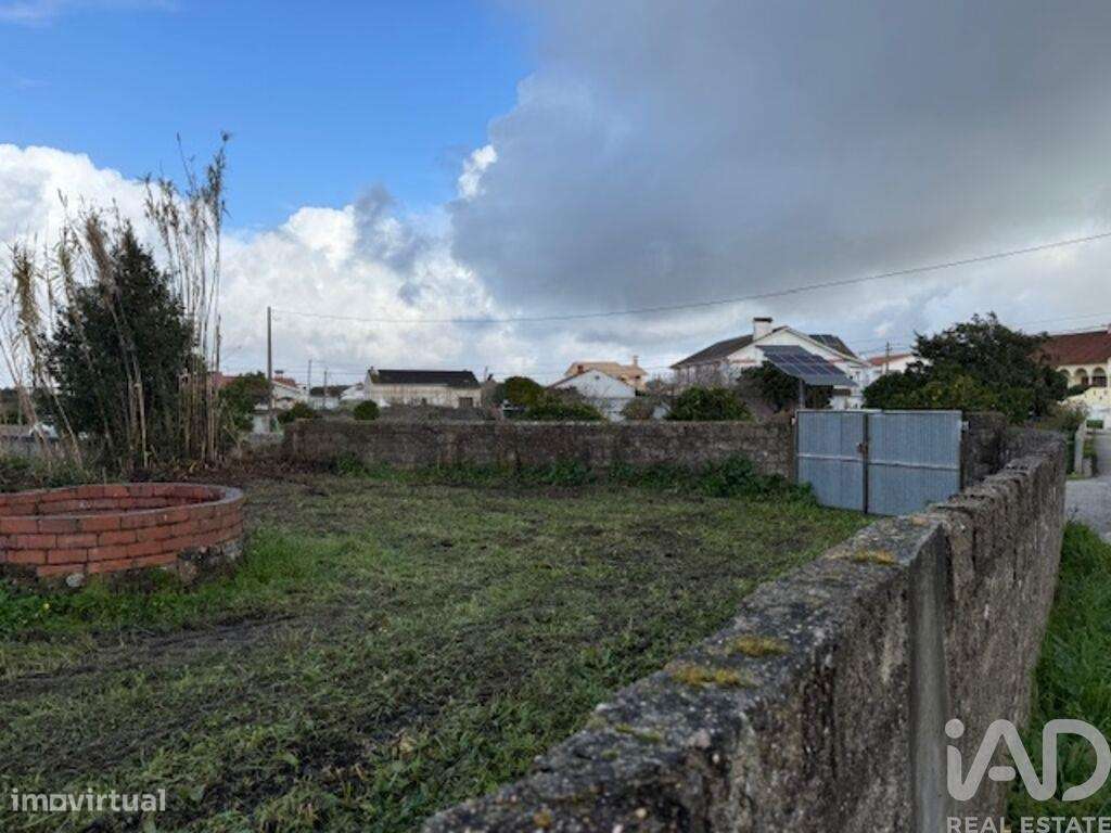 Terreno em Monte Real e Carvide - Grande imagem: 3/19