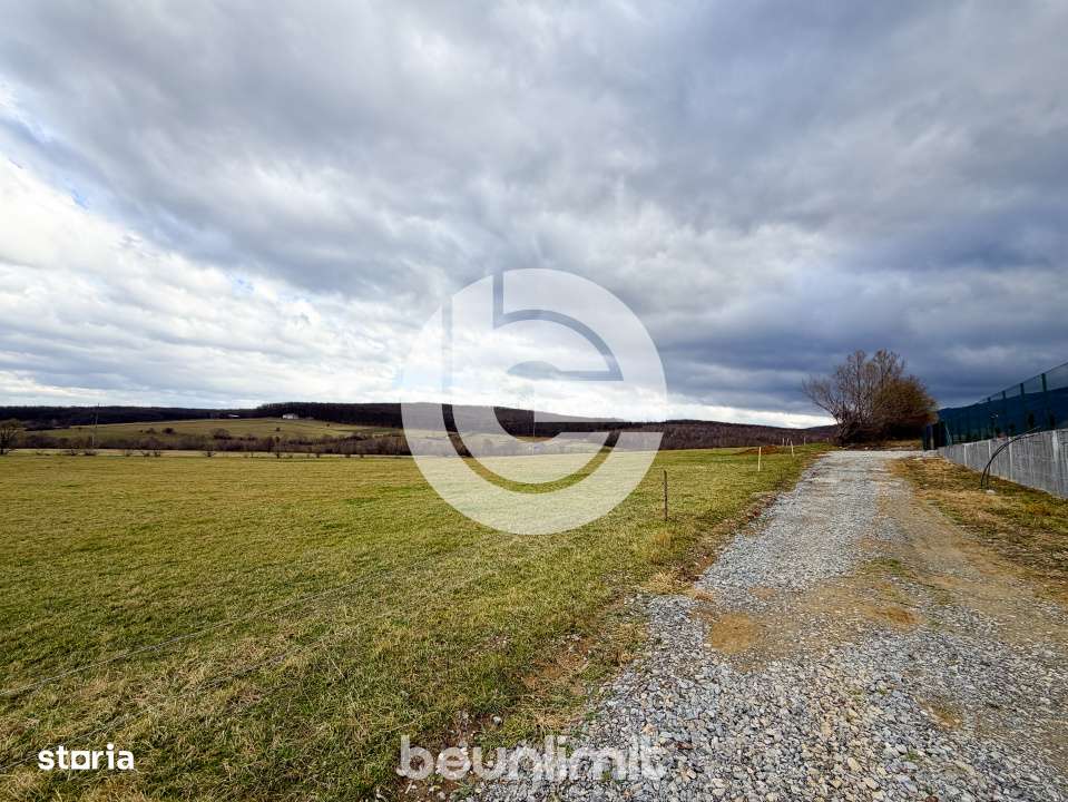 Teren intravilan in Tocile - 4354 m² - 2 fronturi - 49 euro/mp-18