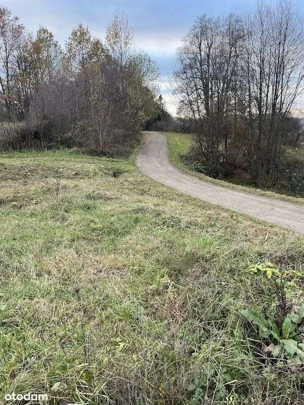 Działka Budowlana, Beskidy , cisza spokój, blisko Krakowa - Pełny obrazek: 4/8