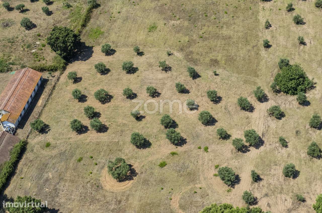 Terreno Rústico em Fráguas, Rio Maior com 12.880m2 - Grande imagem: 2/17