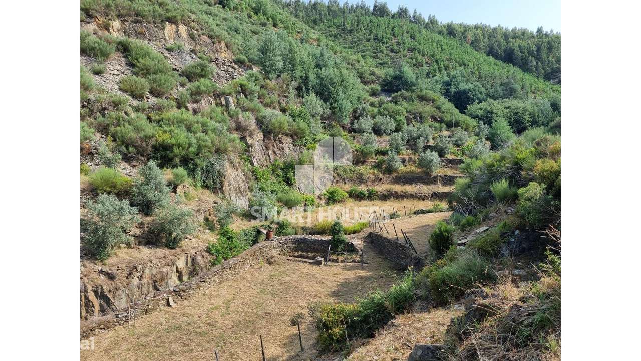 Quinta em Benfeita - Grande imagem: 4/11