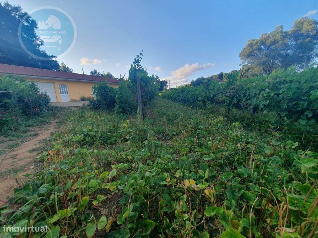 Quintinha à venda- Arco de Baúlhe-14