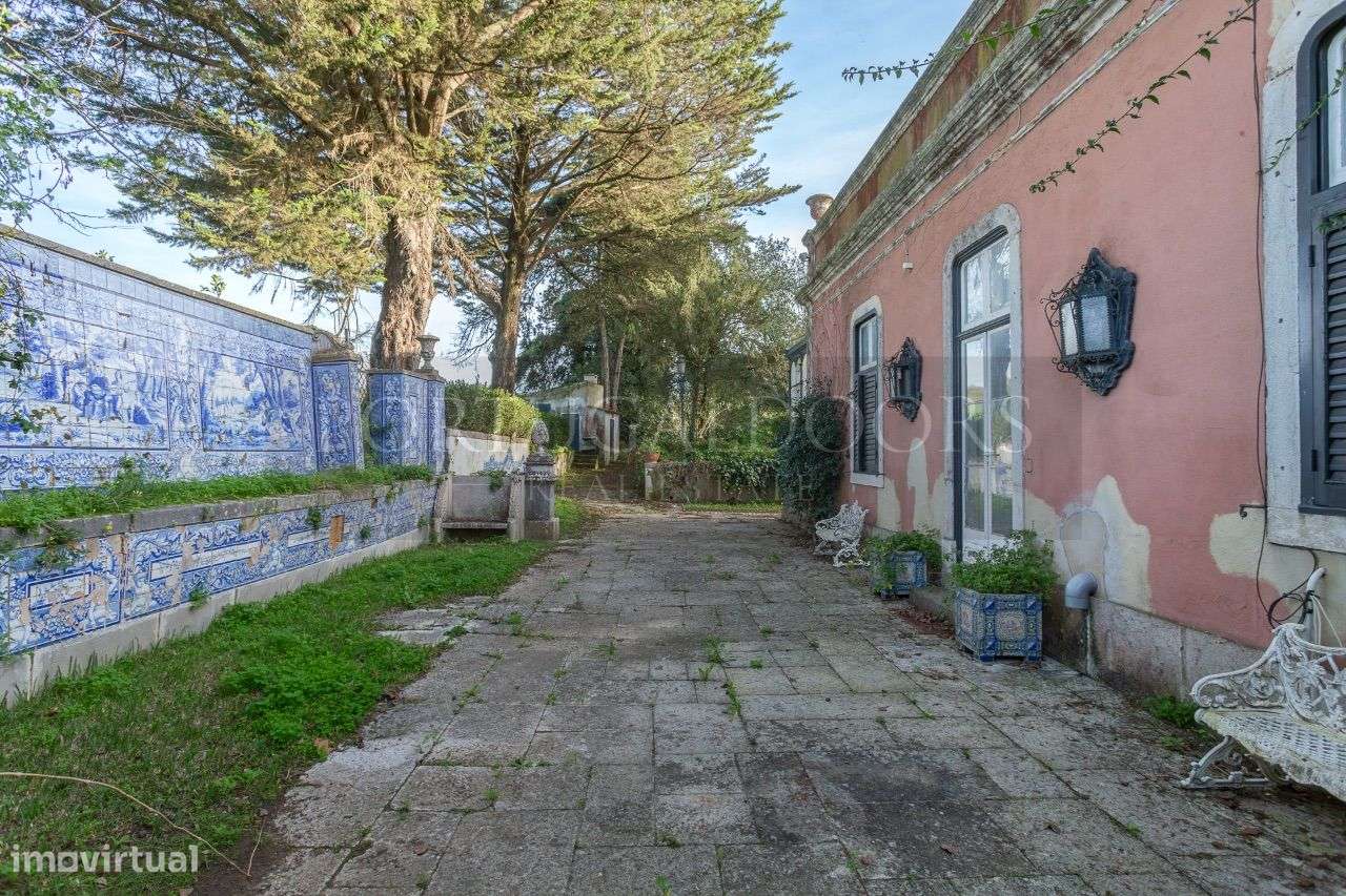 Quinta 5Ha em Azeitão-20