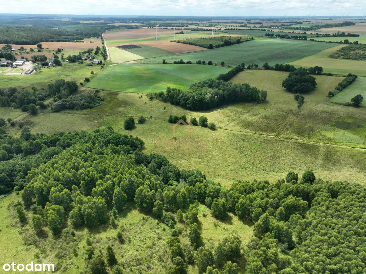 Działka pod Choczewem - 7 ha - Pełny obrazek: 5/7