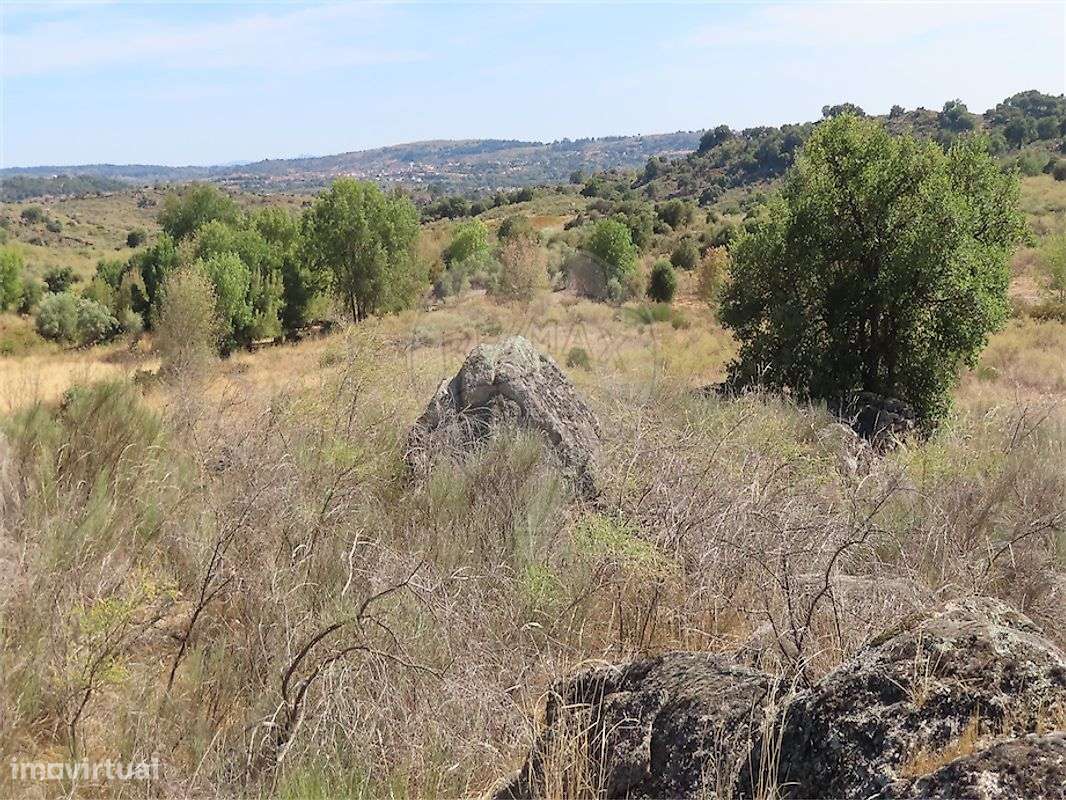 Quinta  para venda-11