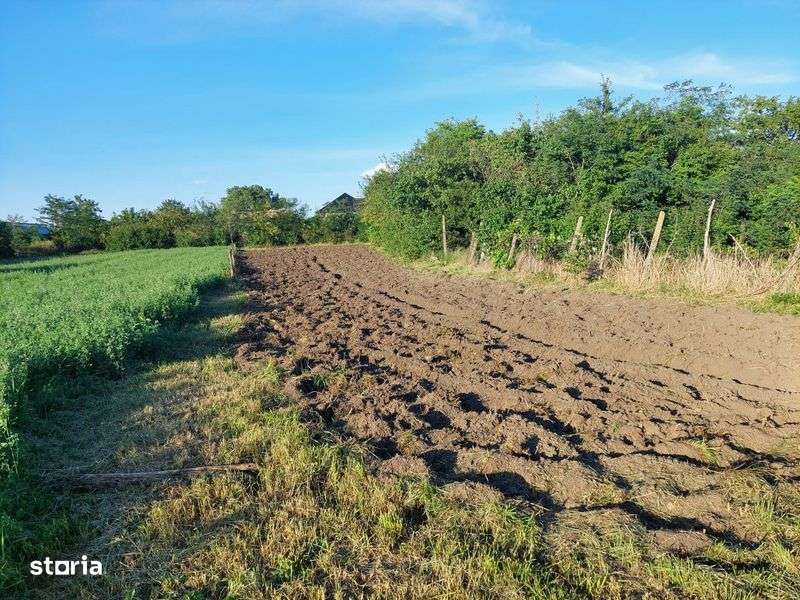 Casa de vanzare , 3 camere, Vorniceni - Imagine principală: 5/7