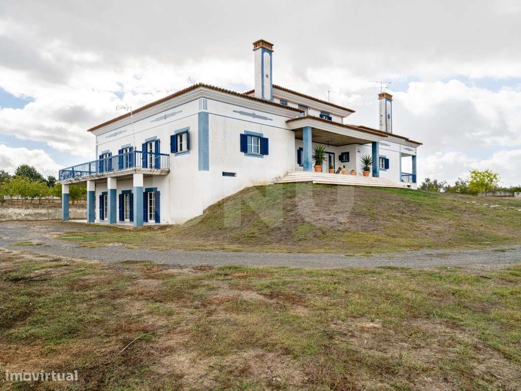 Quinta com 4,8 hectares e casa T9 em Vila Nova da Baronia-14