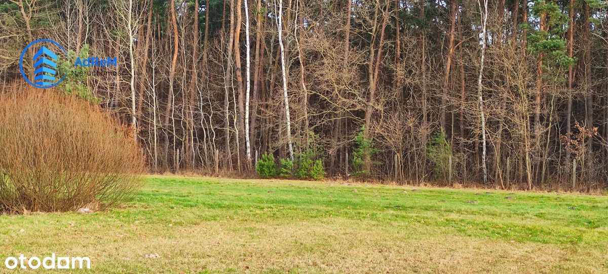 działka zagrodowa 3000 m2 Piskórka