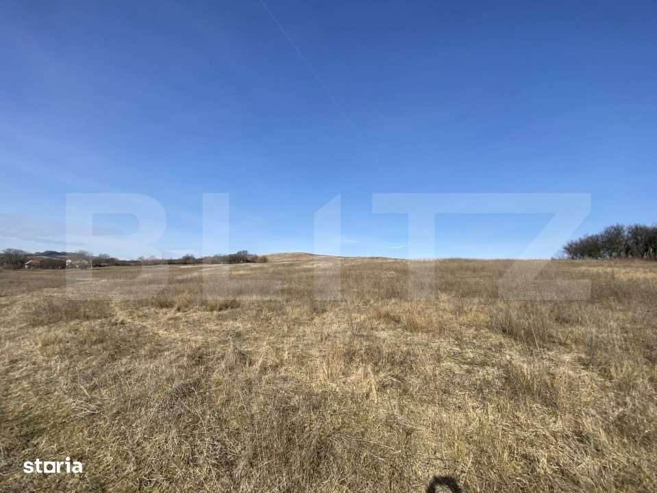 Teren extravilan in suprafata de 140551 mp in loc. Recea - Imagine principală: 4/11