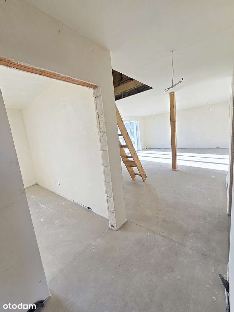 Bliźniak w nowoczesnej architekturze-11