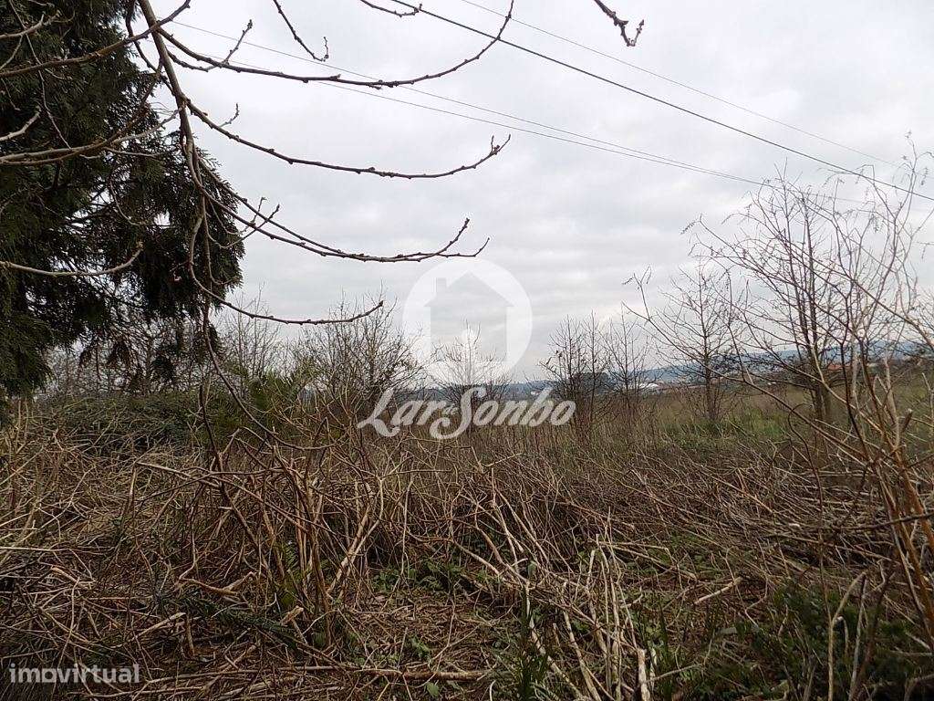 Terreno para construção em Balazar - Grande imagem: 2/2
