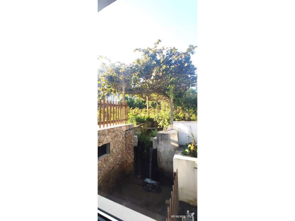 Quinta com duas moradias, anexos, diversas arvores de fruto, vinha ...-45