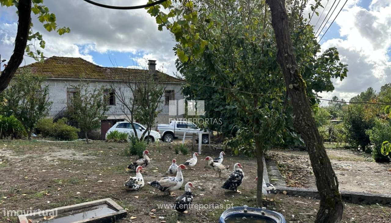 Venda de Quinta com 2 Moradias, Varzea de Ovelha Marco de Canaveses - Grande imagem: 2/54