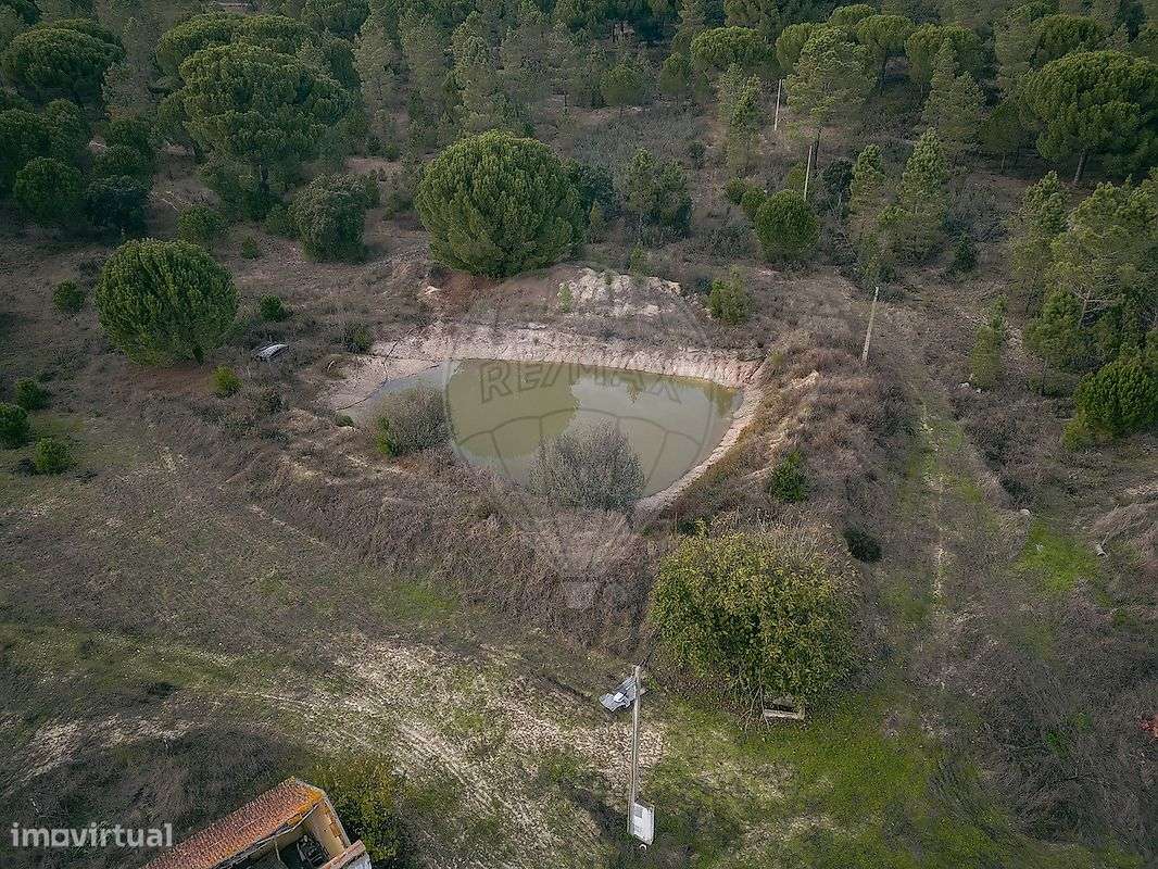 Quinta  para venda - Grande imagem: 4/17