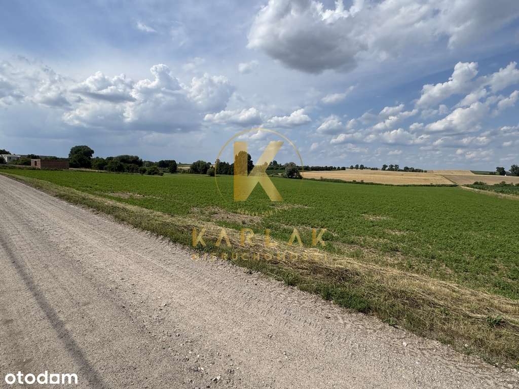 Działka w Lubiatowie (droga na Kotowo) Nowa Cena-3