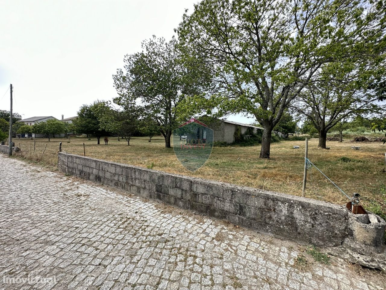 Lote de Terreno  Venda em Quintela,Sernancelhe