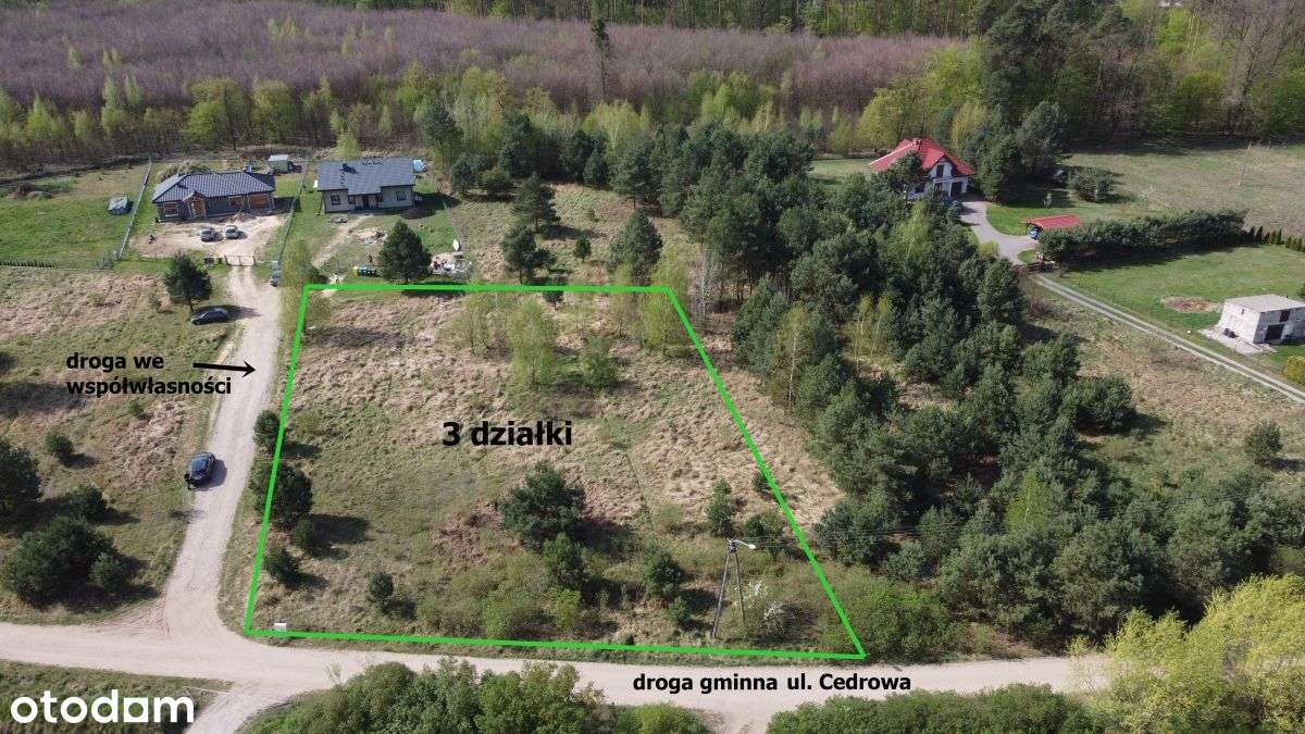 Biały Bór 3 działki budowlane - Pełny obrazek: 5/9