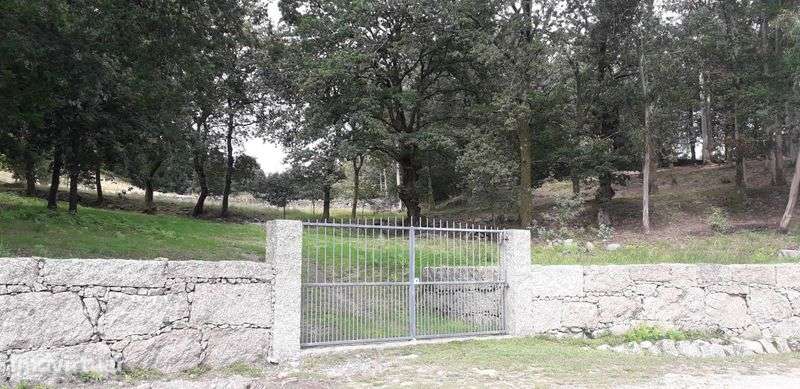 Propriedade com ca. 5 ha em Vieira do Minho - Grande imagem: 5/12