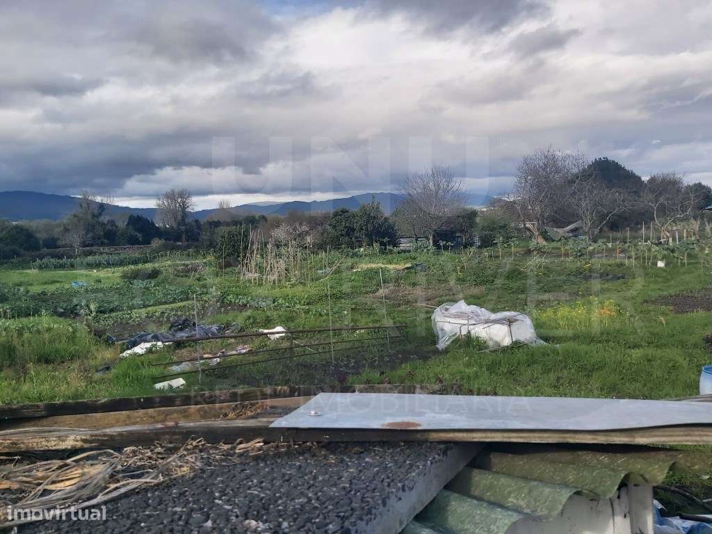 Terreno Urbanizável - Darque - Grande imagem: 4/5