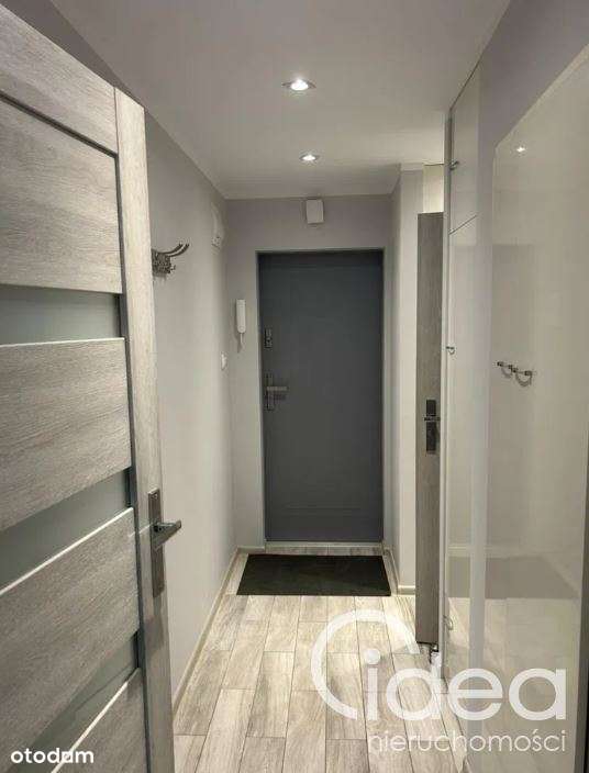 Kawalerka po remoncie 29.5 m², zielone Pomorzany - Więcej