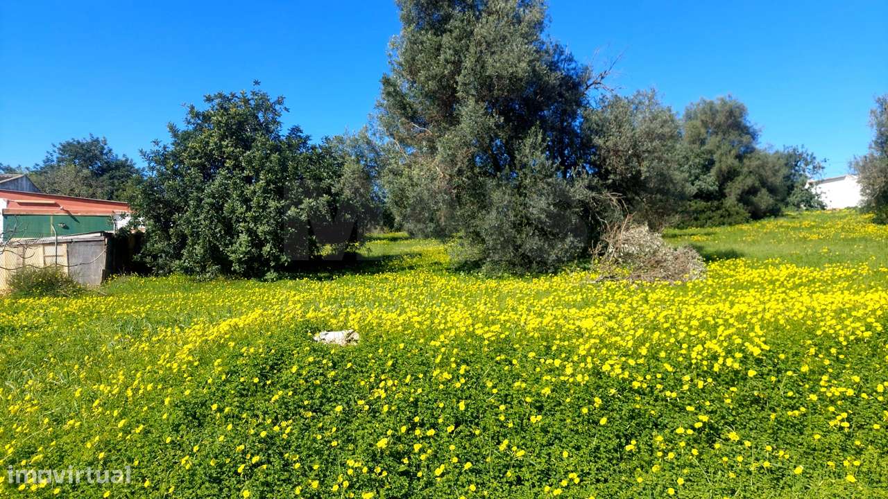 Lote de  Terreno Rustico - Grande imagem: 4/4