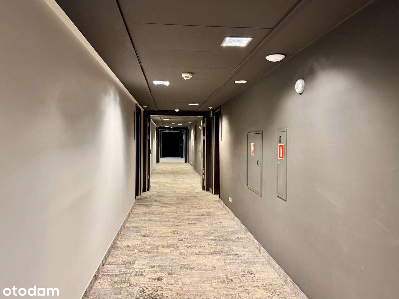 Apartament 1 pok. 300 m od morza, Dźwirzyno-7