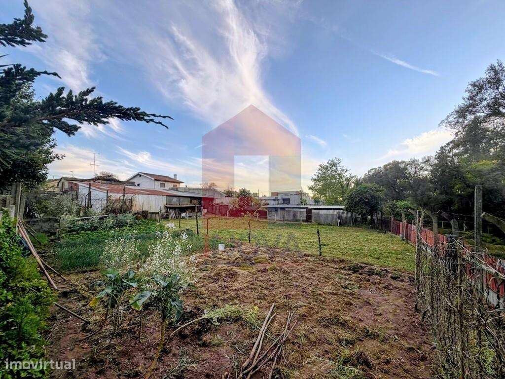 Moradia para restauro, Soutelo - Grande imagem: 5/15