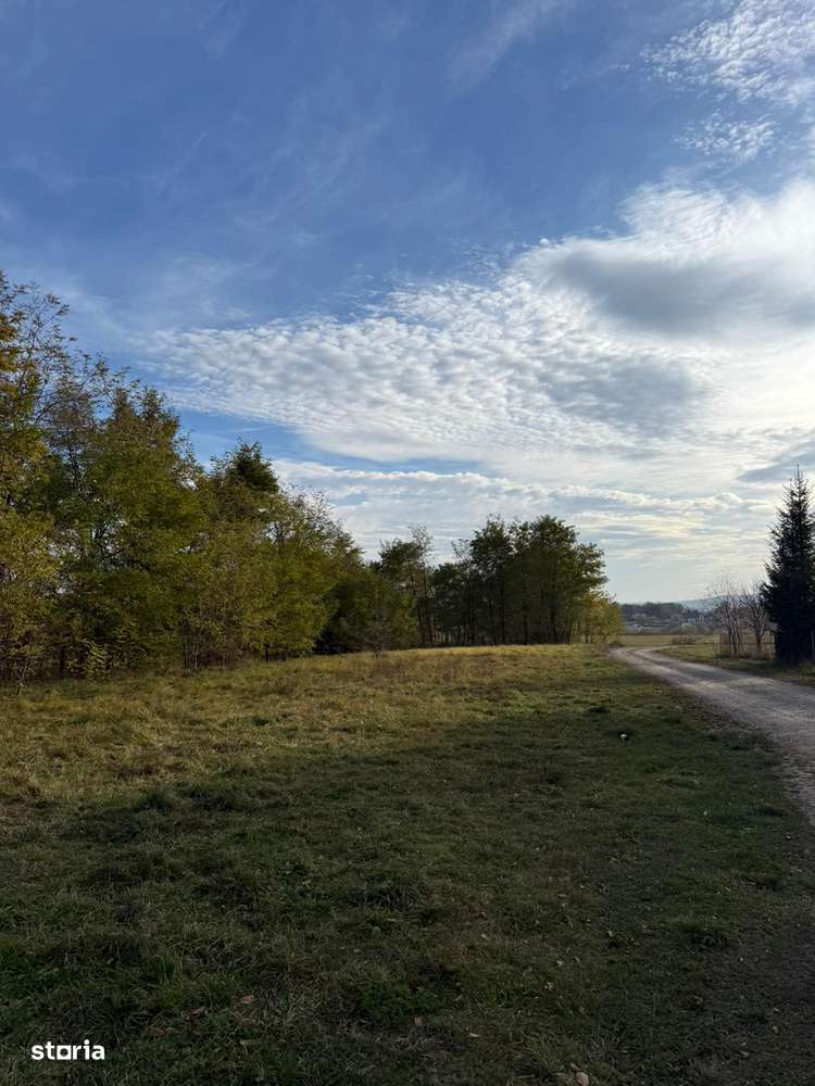 M.Dragomirna-Teren 2002mp, curent electric,pret 950E/ar. - Imagine principală: 3/7